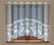 Zanzara_(ZH)_249050.jpg